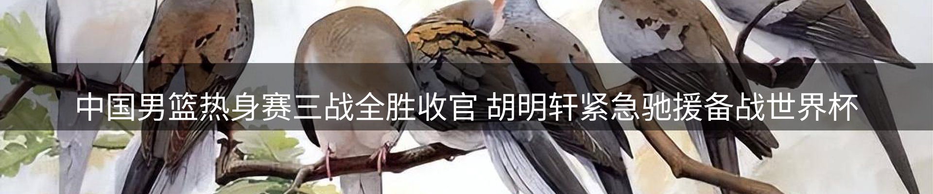 新闻中心